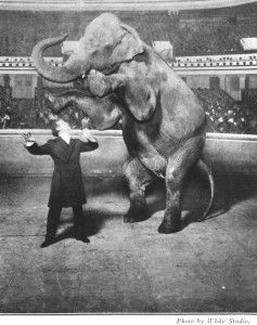 Houdini-Elephant